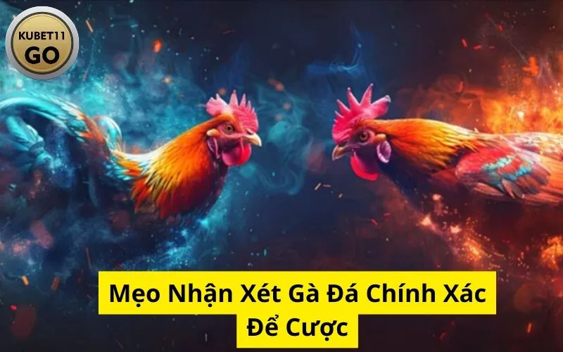 Mẹo Nhận Xét Gà Đá Chính Xác Để Cược