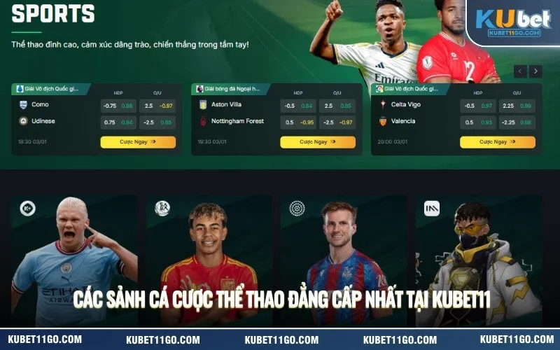 Các sảnh cá cược thể thao đẳng cấp nhất tại Kubet11